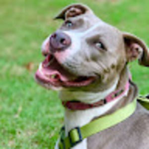 Meet your Posher, Jimmy